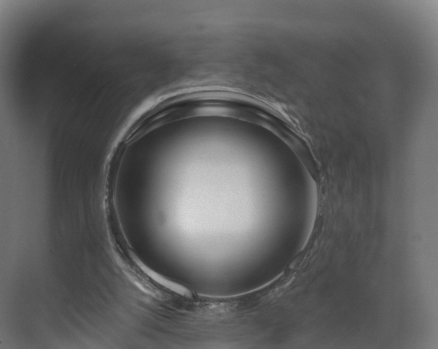 X0000075370056200609151713
