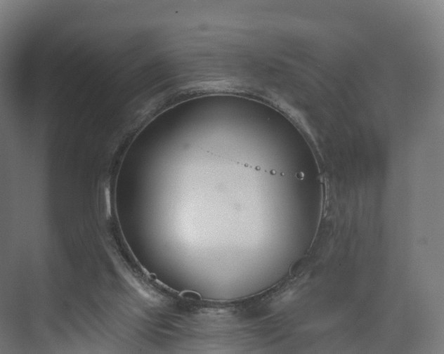 X0000075370061200609151713