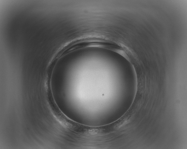 X0000075370064200609151713
