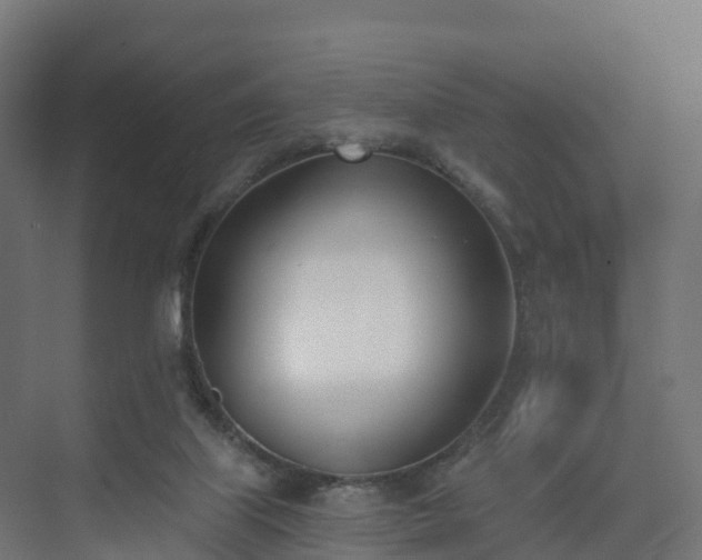 X0000075370067200609151713