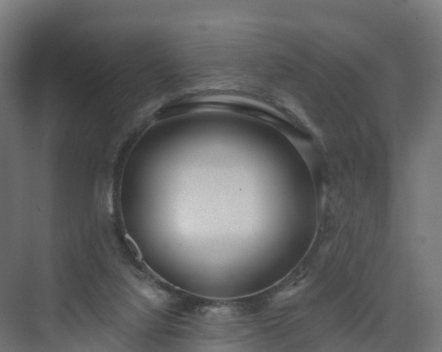 X0000075370068200609151713