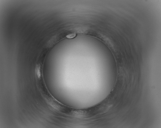 X0000075370069200609151713
