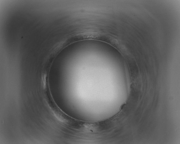 X0000075370070200609151713