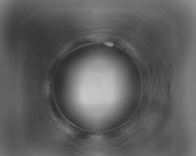 X0000075370071200609151713