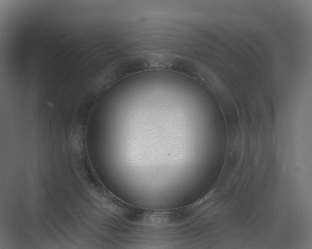 X0000075370078200609151713