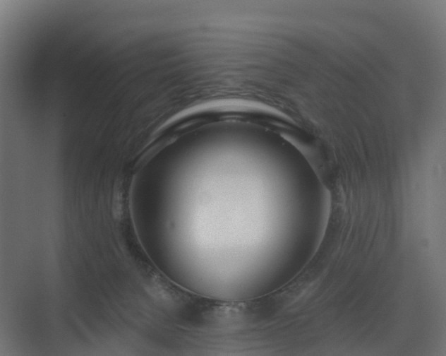X0000075370080200609151714