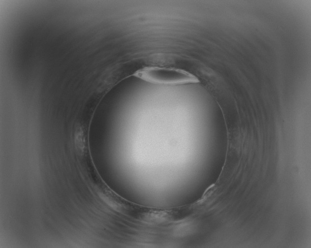 X0000075370086200609151714