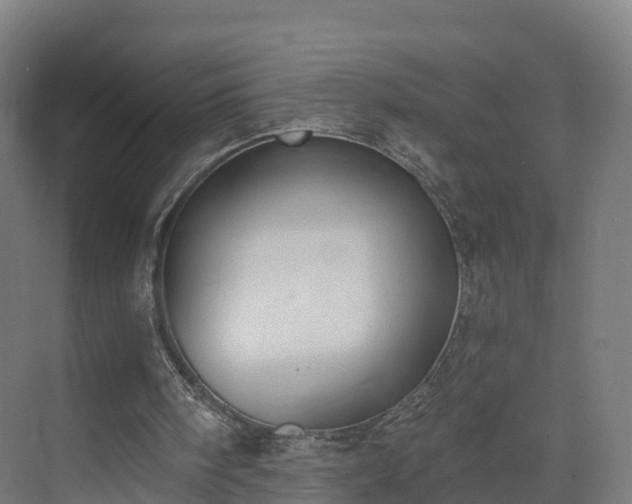 X0000075370098200609151713