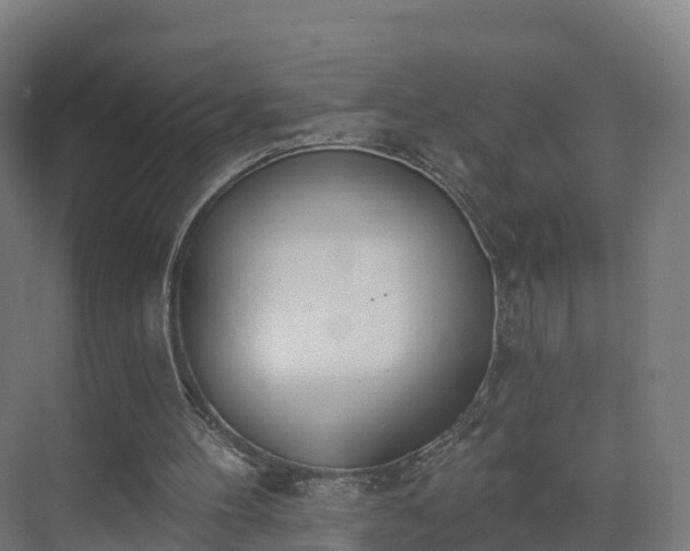 X0000075370100200609151713