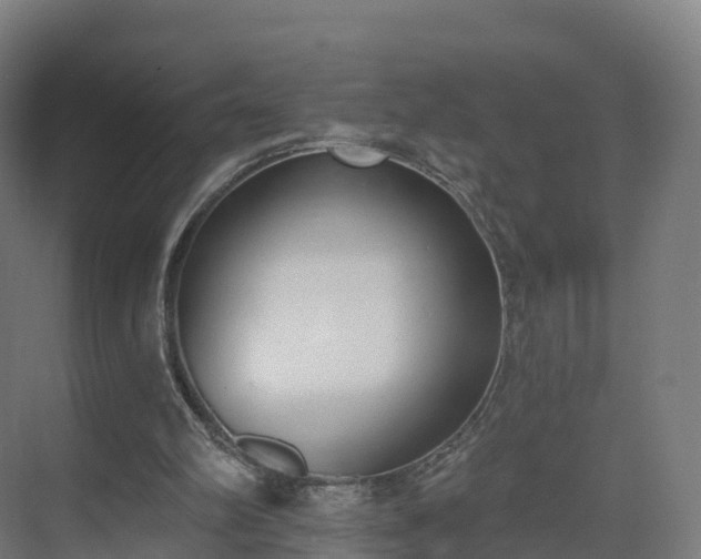 X0000075370102200609151713