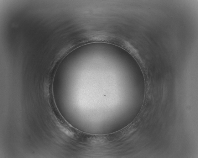 X0000075370106200609151713