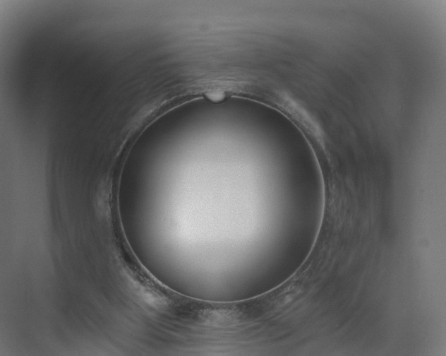 X0000075370107200609151713