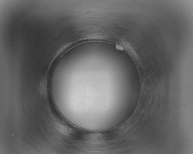 X0000075370108200609151713