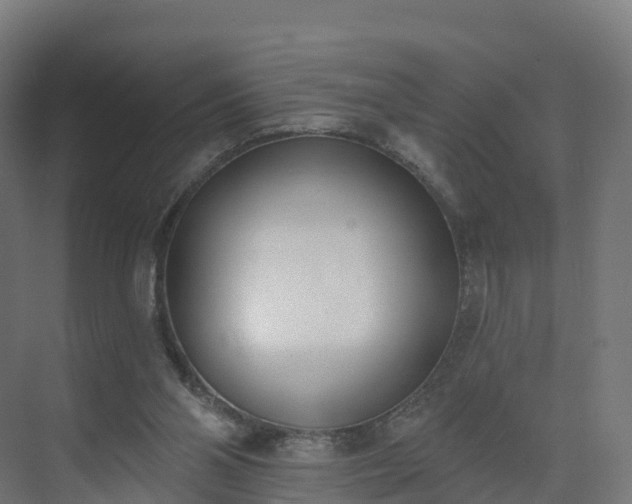 X0000075370110200609151713