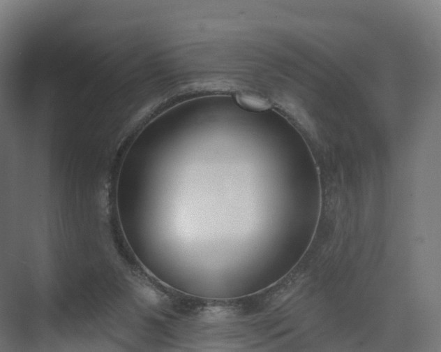 X0000075370111200609151713