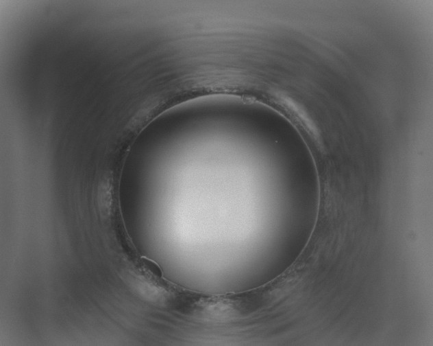 X0000075370113200609151713