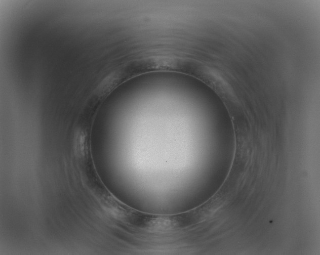 X0000075370123200609151713