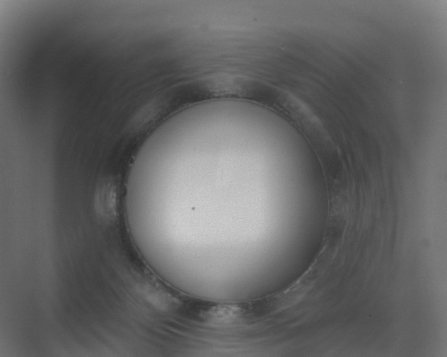 X0000075370124200609151713