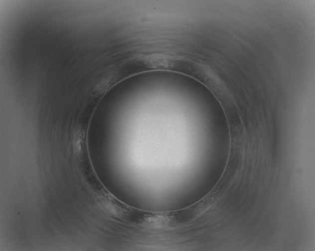 X0000075370125200609151713