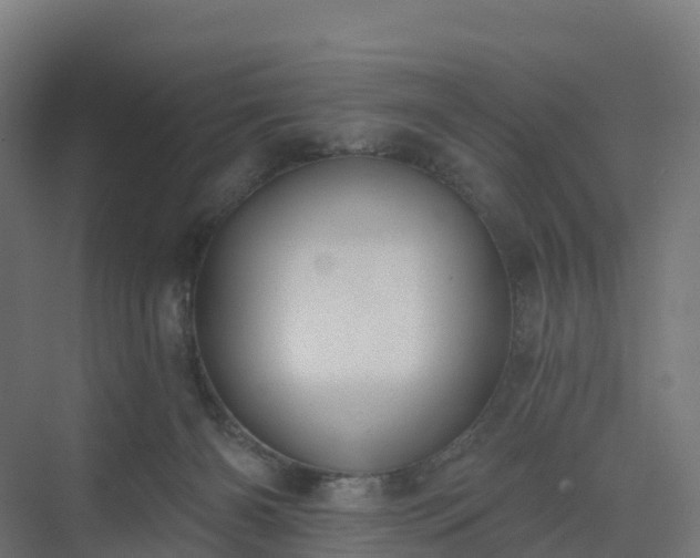 X0000075370126200609151712