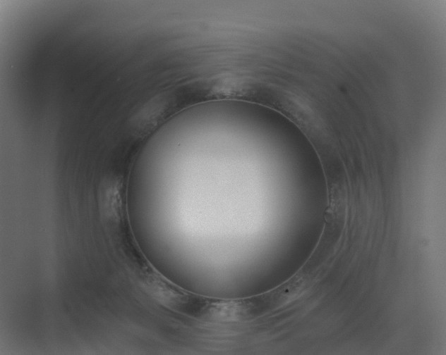 X0000075370127200609151712