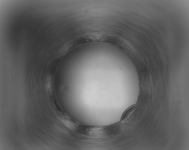 X0000075370132200609151712