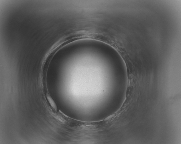 X0000075370150200609151711