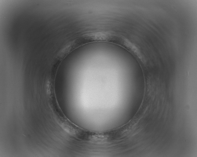 X0000075370161200609151712