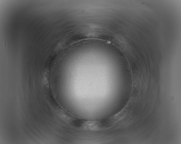 X0000075370175200609151712