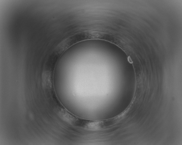 X0000075370178200609151712