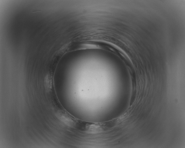 X0000075370180200609151712