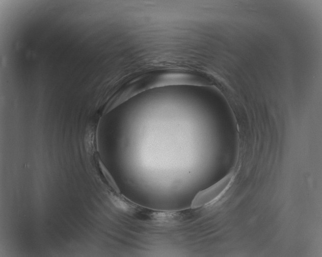 X0000075370192200609151712