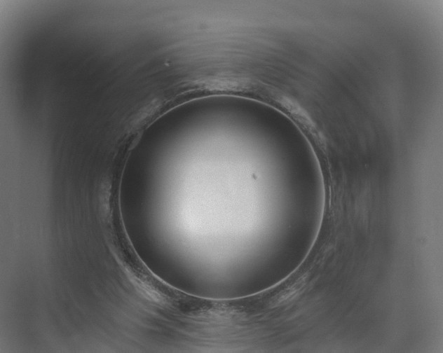 X0000075370201200609151711