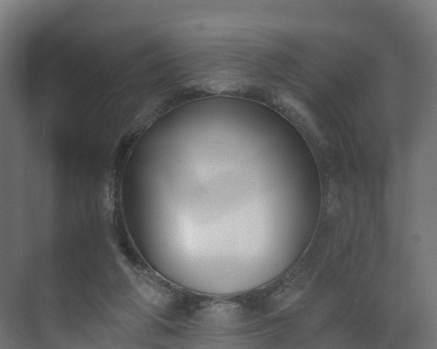 X0000075370210200609151711