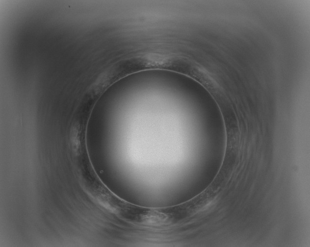 X0000075370215200609151711