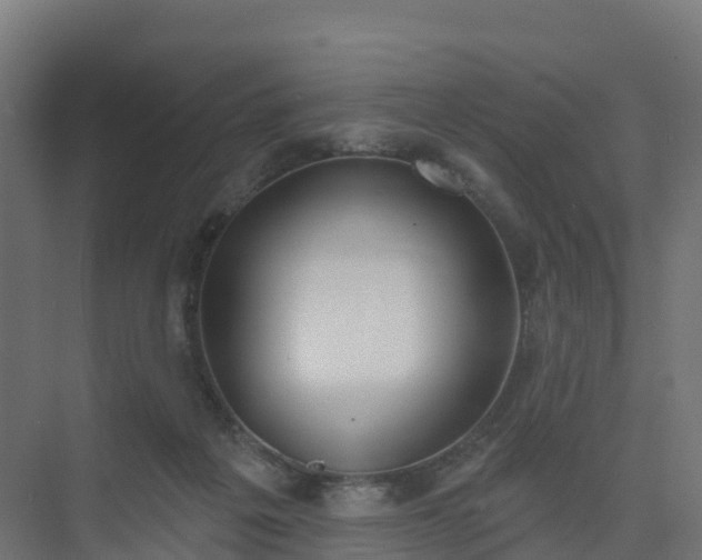 X0000075370217200609151711