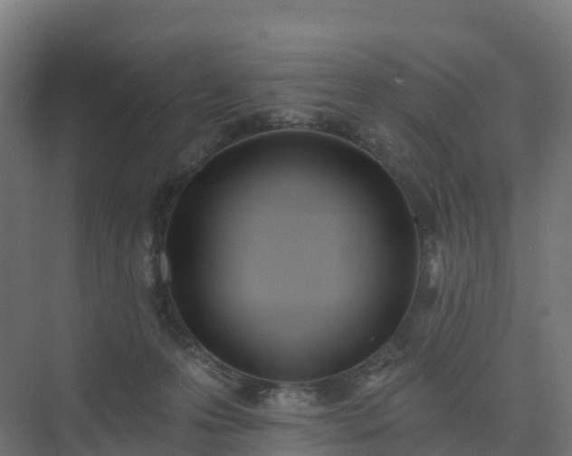 X0000075370223200609151711