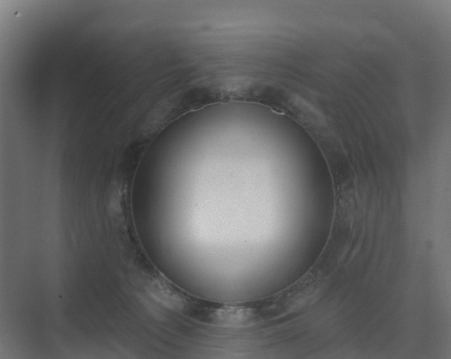 X0000075370225200609151711