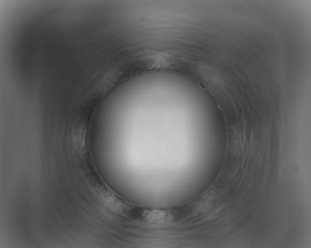 X0000075370230200609151711