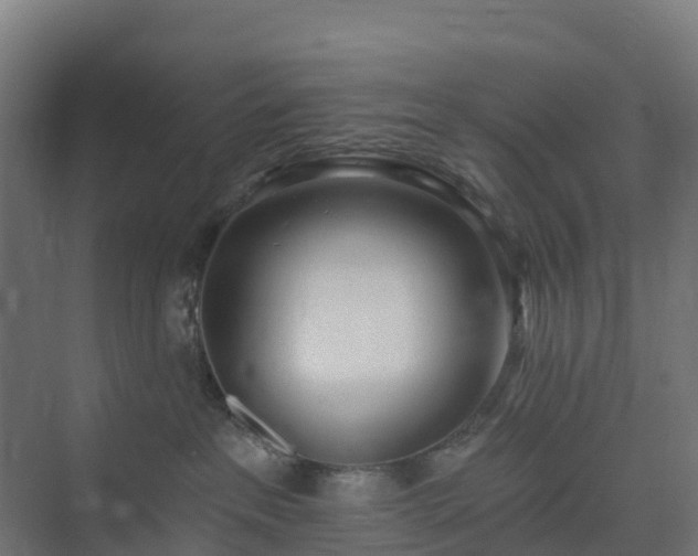 X0000075370237200609151711
