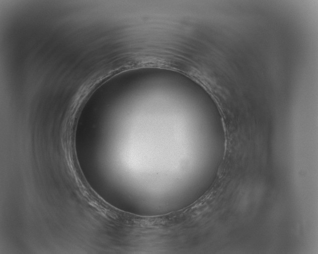 X0000075370241200609151710