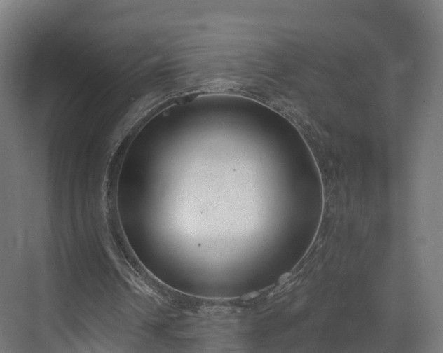 X0000075370242200609151710