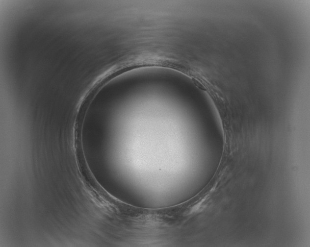 X0000075370244200609151710