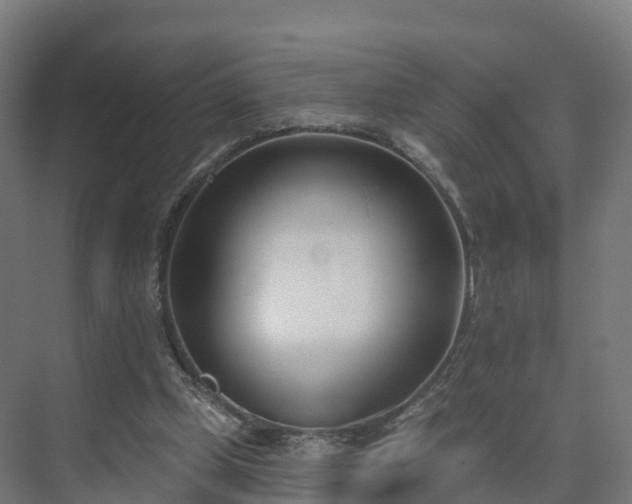 X0000075370249200609151710