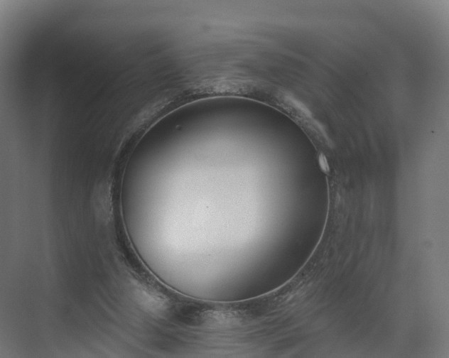 X0000075370250200609151710