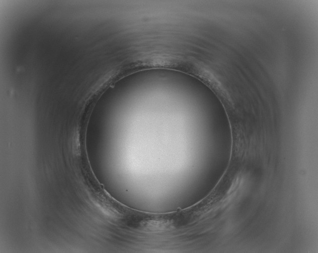 X0000075370251200609151710