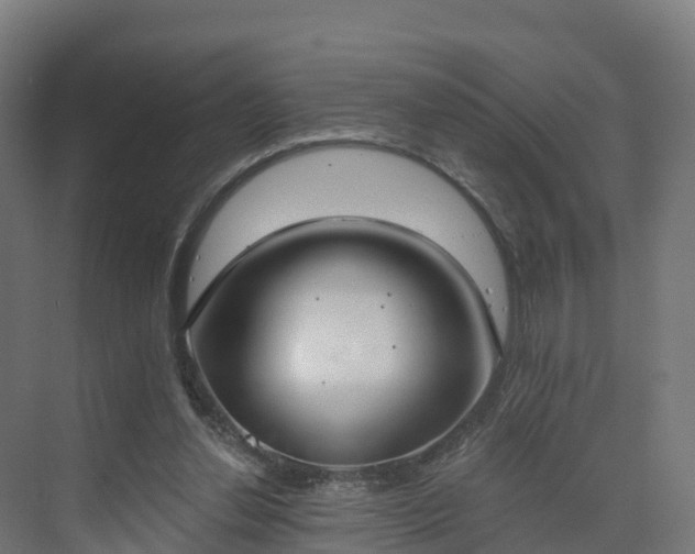 X0000075370252200609151710