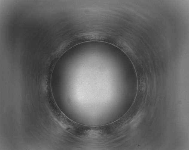 X0000075370255200609151710