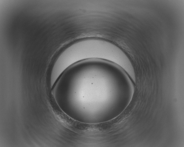 X0000075370256200609151710