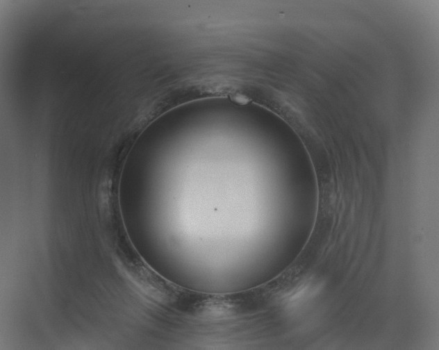 X0000075370263200609151710